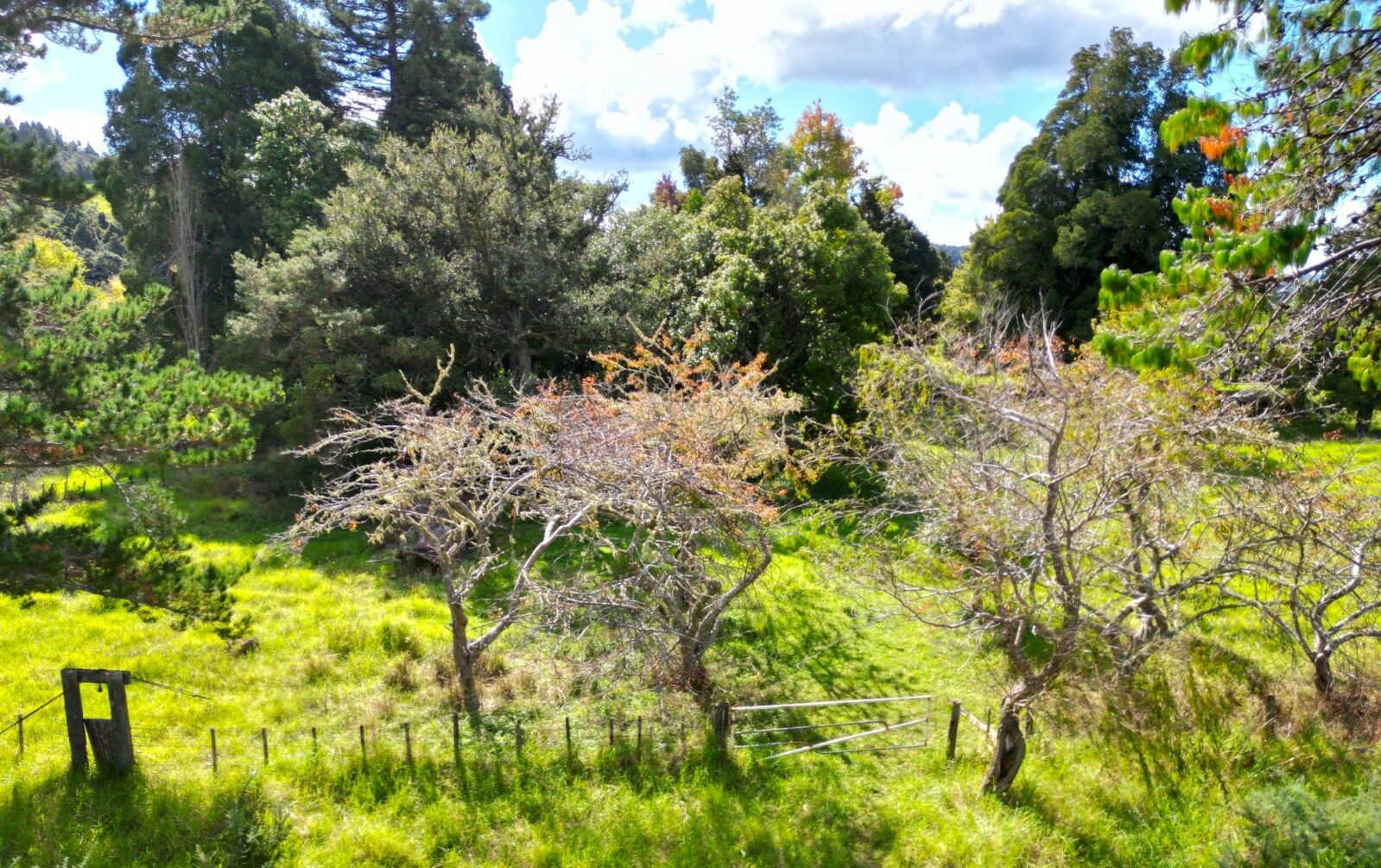 Waima Riverside