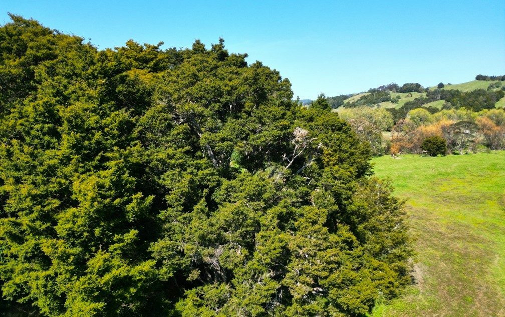 RURAL GEM CLOSE TO OKAIHAU