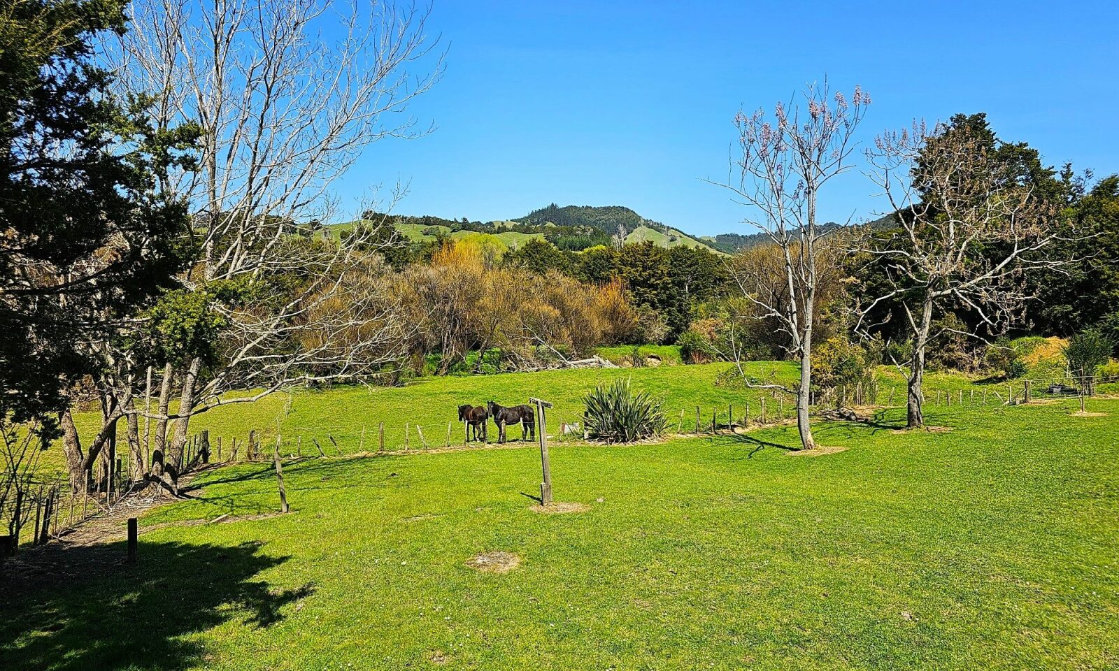 RURAL GEM CLOSE TO OKAIHAU
