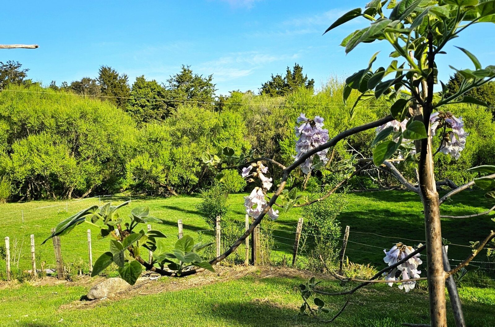 RURAL GEM CLOSE TO OKAIHAU