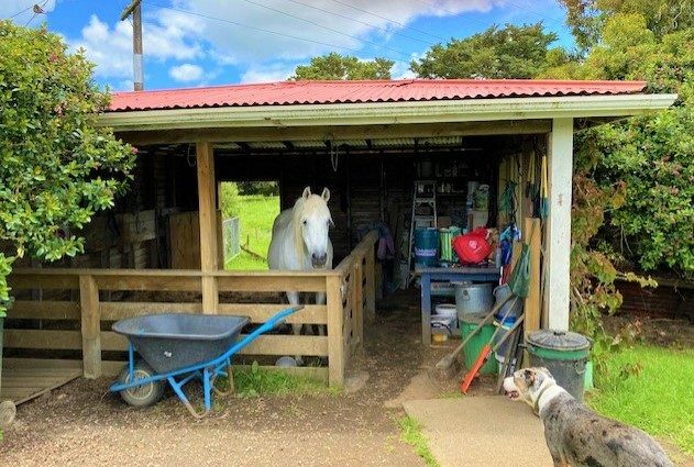 Price Refresh: Large Rural Homestead with old shearing shed