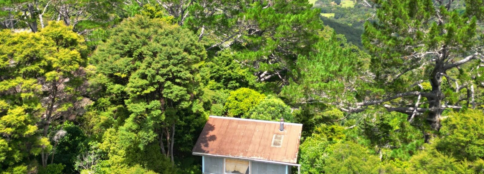 Kohukohu Bush Cottage