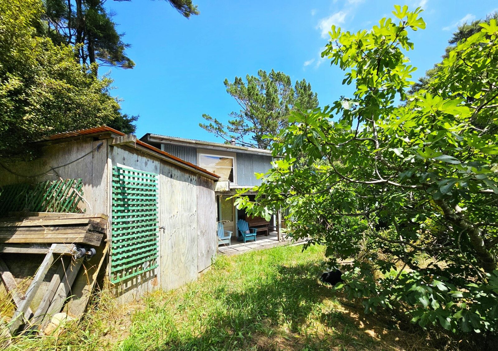 Kohukohu Bush Cottage