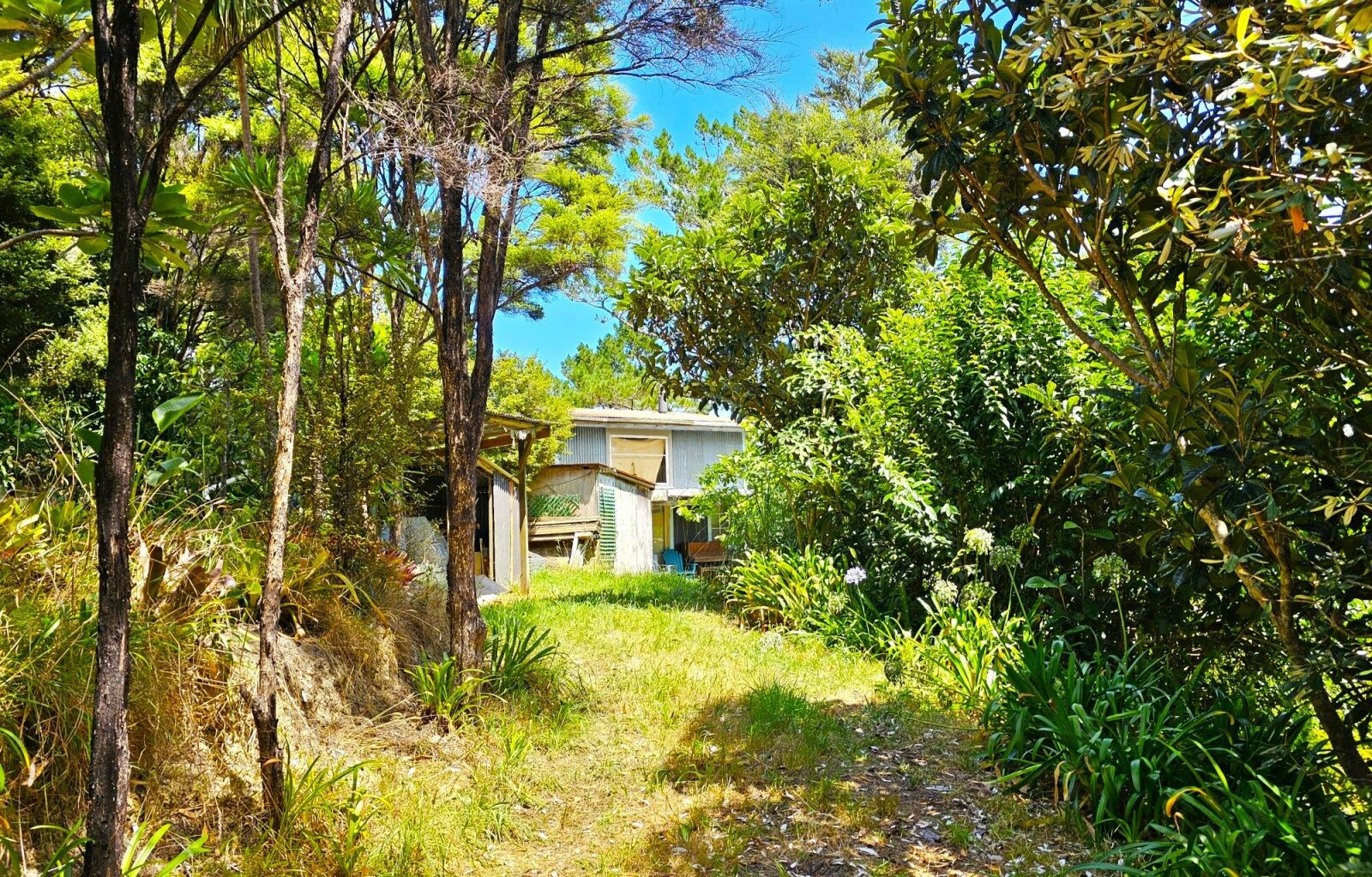 Kohukohu Bush Cottage