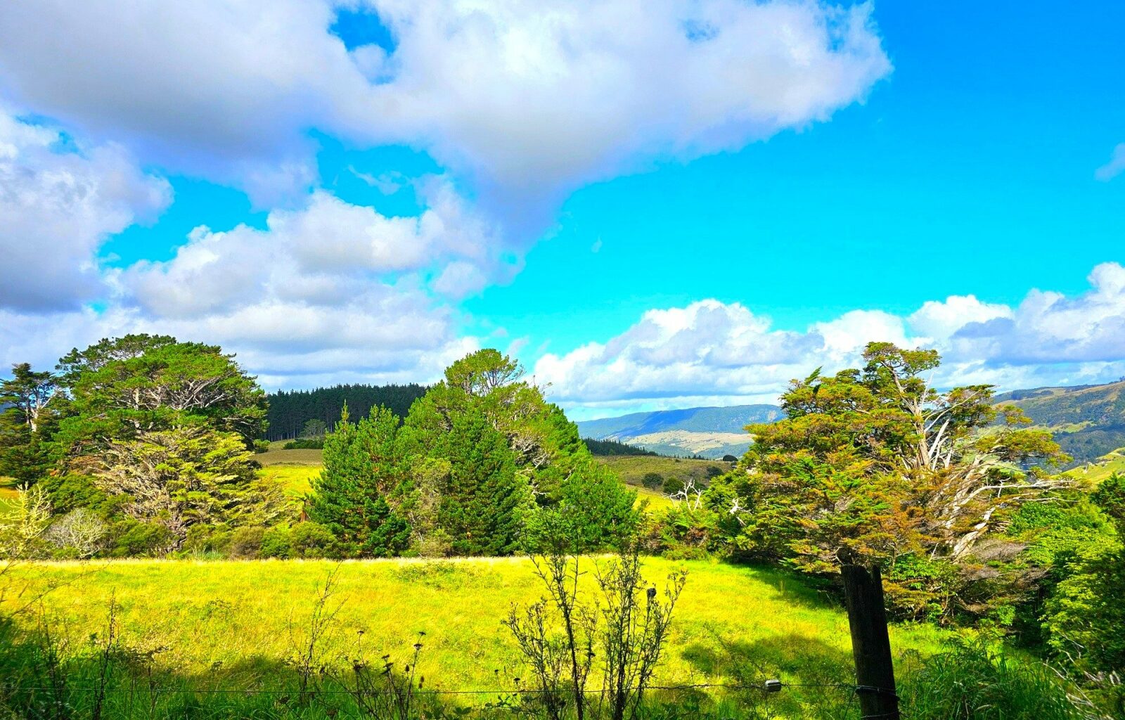 Rural Lifestyle With West Coast Ocean Views