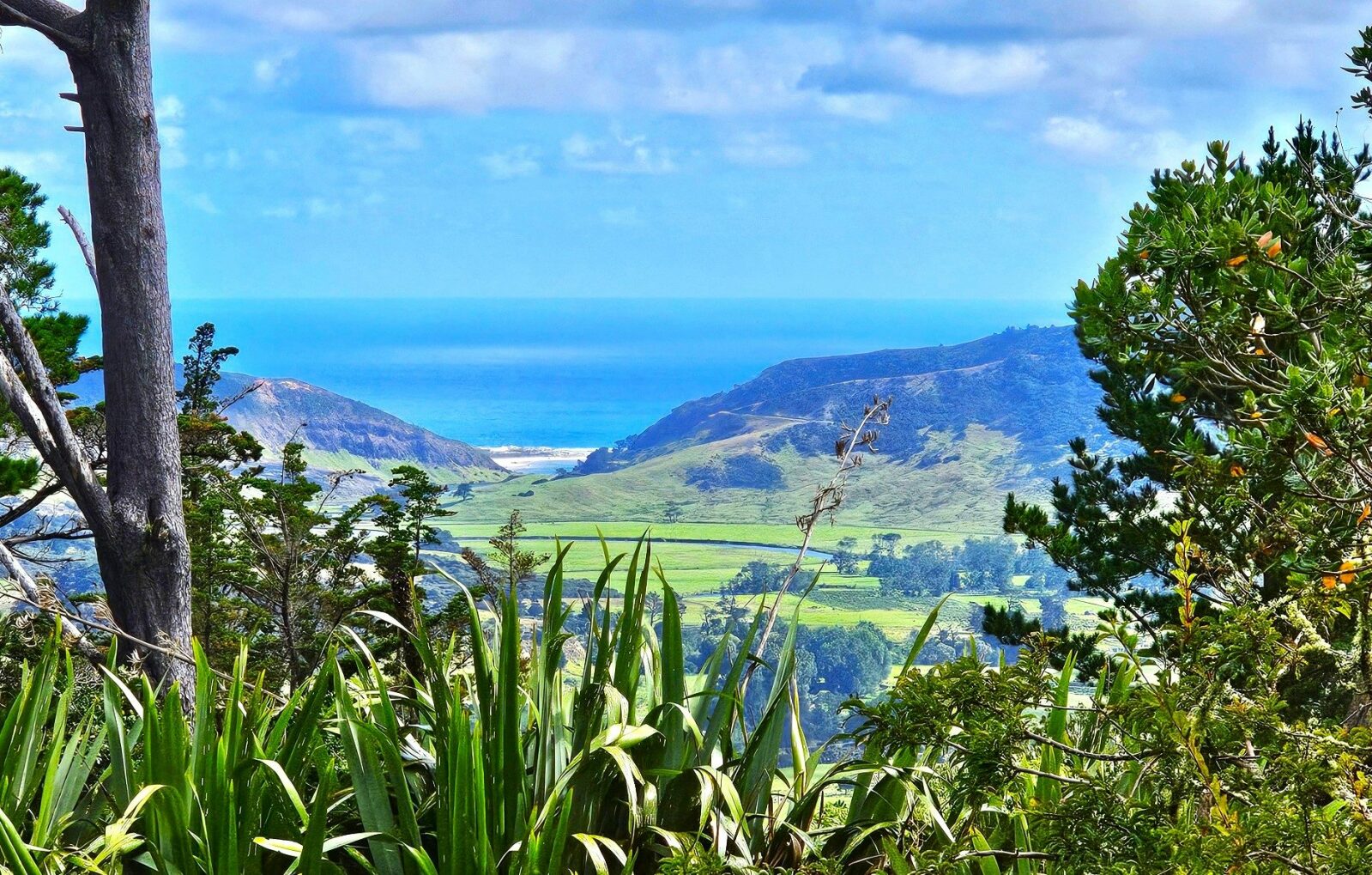 Rural Lifestyle With West Coast Ocean Views