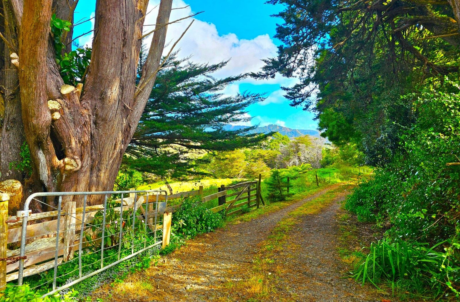 Rural Lifestyle With West Coast Ocean Views