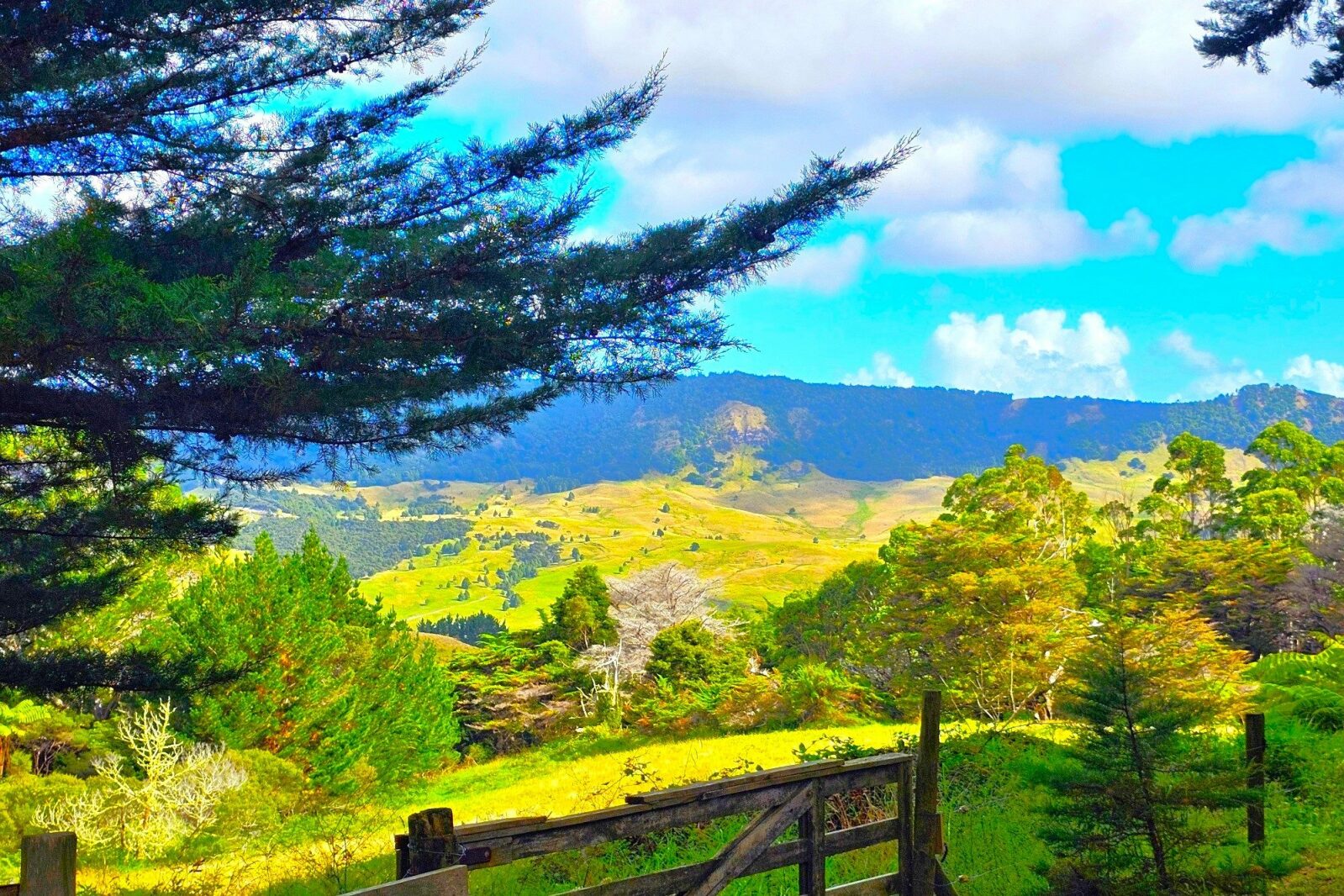 Rural Lifestyle With West Coast Ocean Views