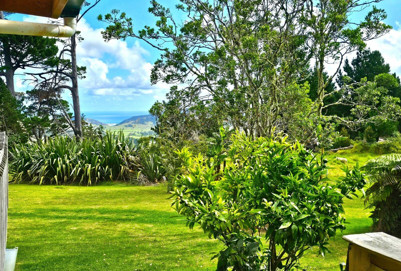 Rural Lifestyle With West Coast Ocean Views