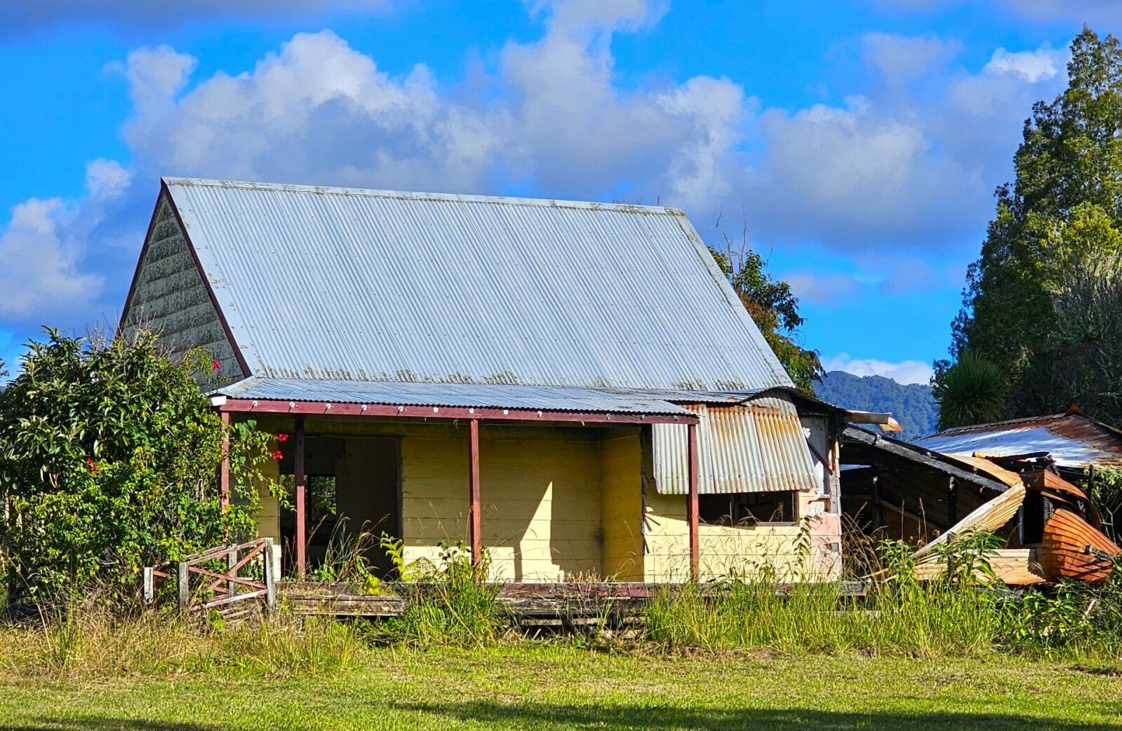 Hokianga 