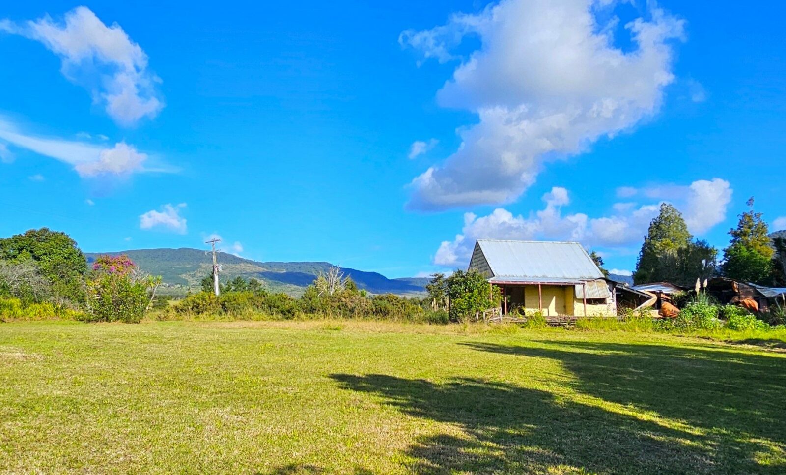 Hokianga 