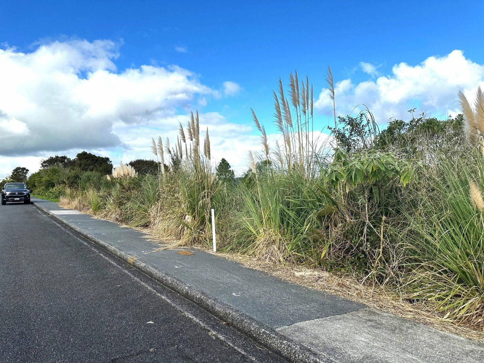 2911sqm section with NO COVENANTS