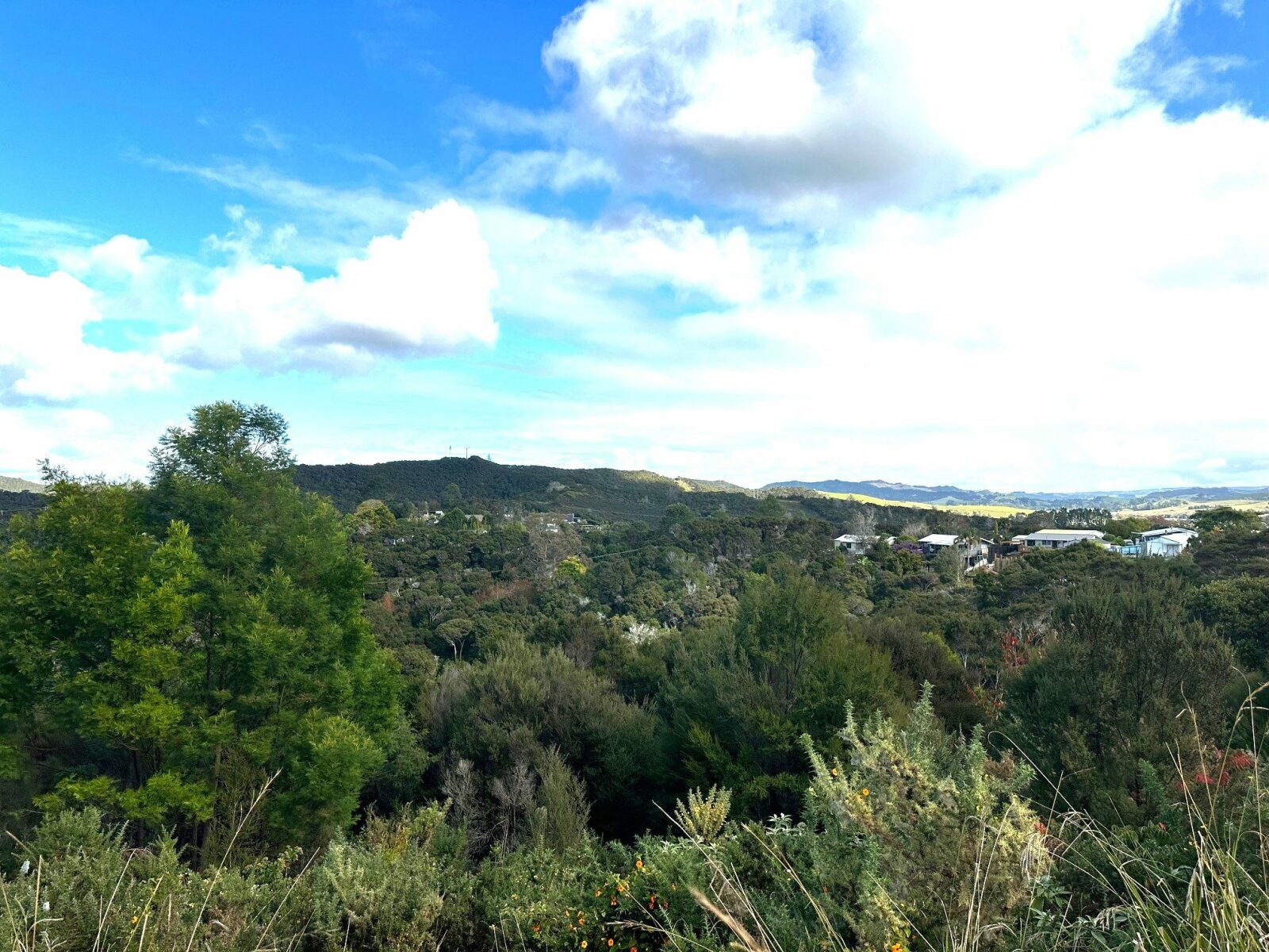 2911sqm section with NO COVENANTS