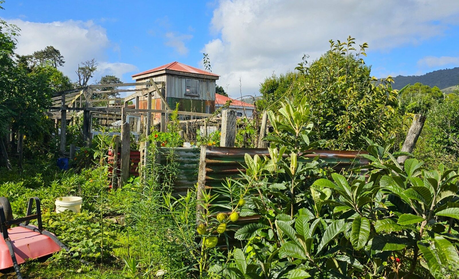 Rural living, Waimamaku