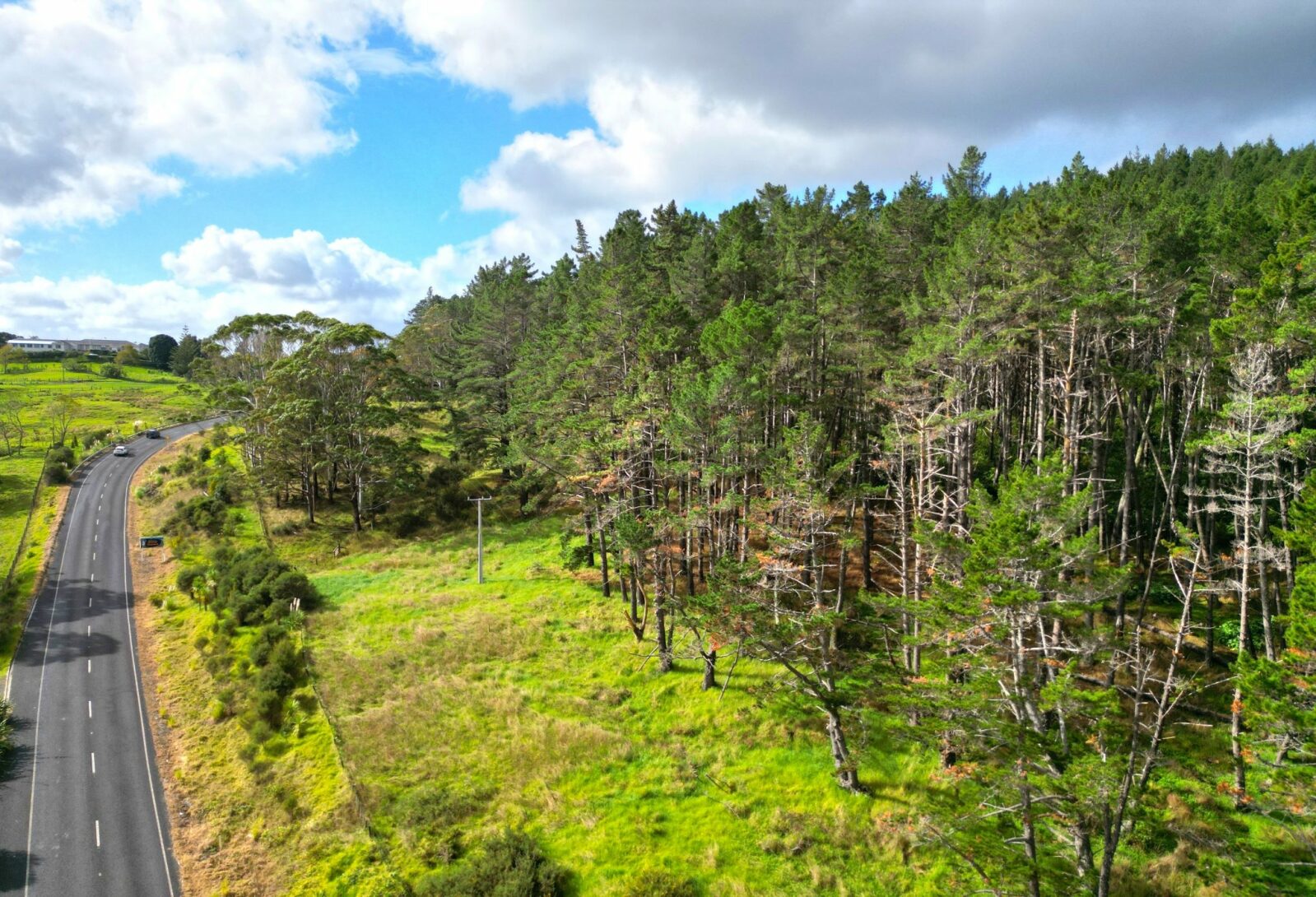 Lifestyle and Forestry, Prime Pine Block