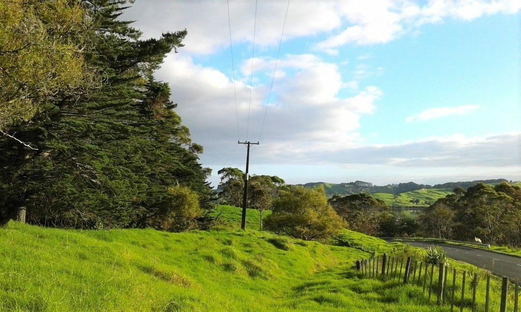 Lifestyle and Forestry, Prime Pine Block