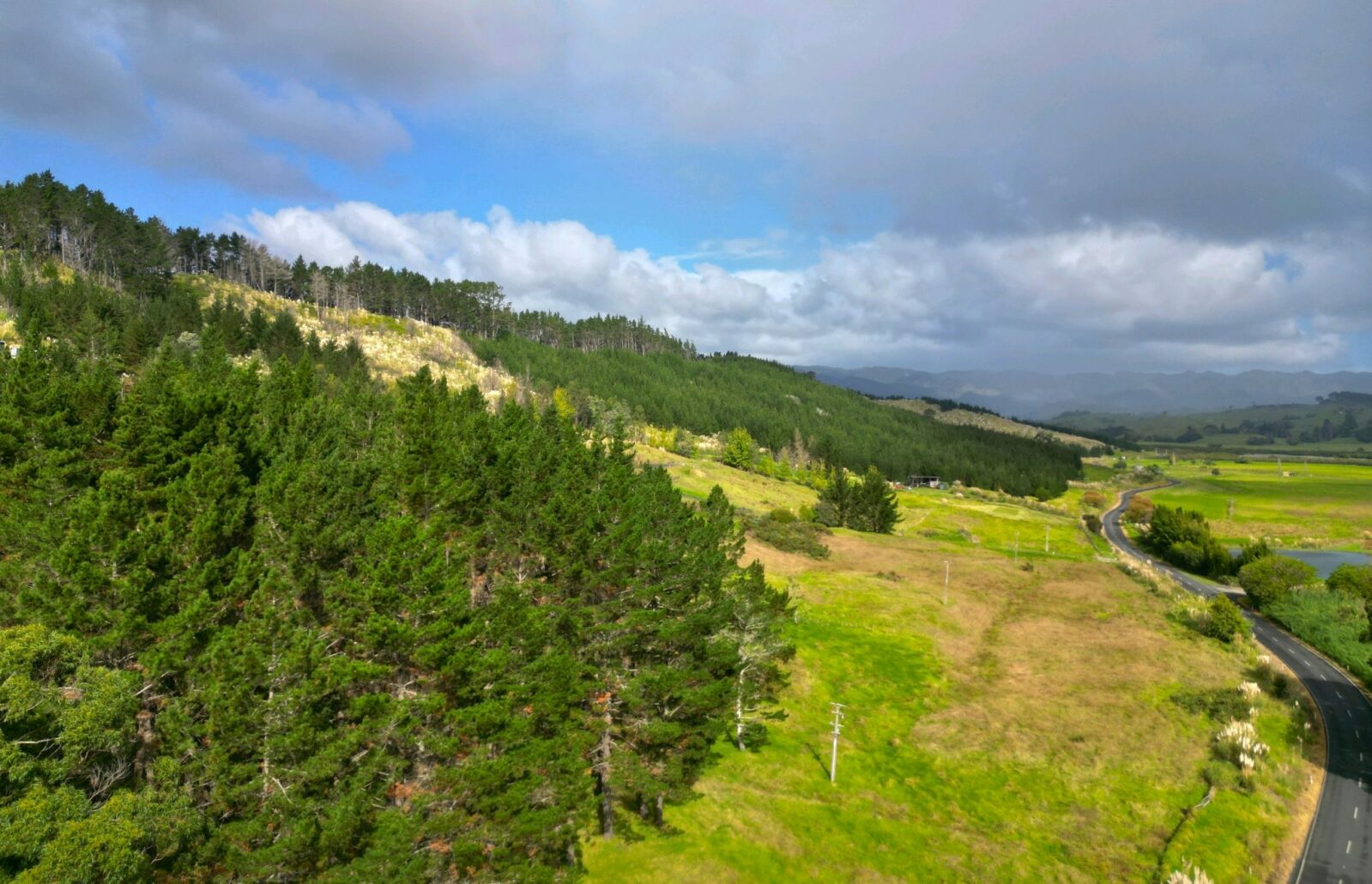 Lifestyle and Forestry, Prime Pine Block