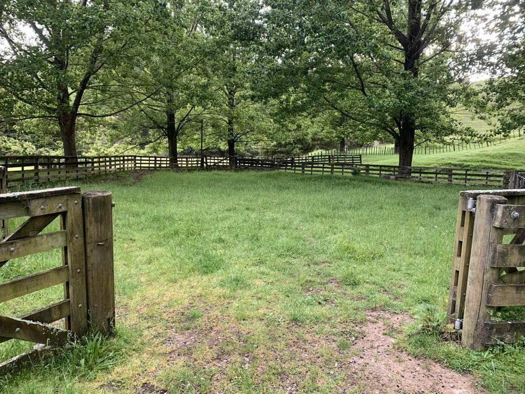 Horse/Cattle Breeding Stud, Home & Infrastructure