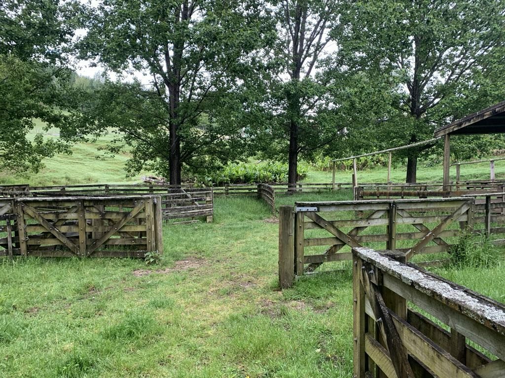 Horse/Cattle Breeding Stud, Home & Infrastructure