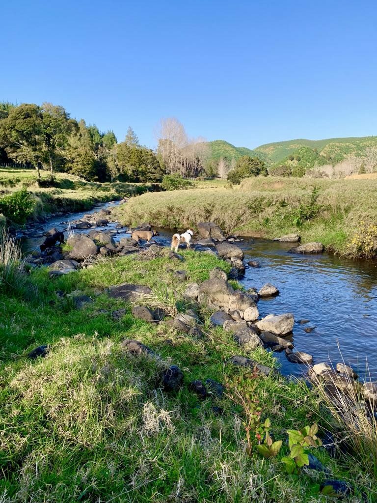 Horse/Cattle Breeding Stud, Home & Infrastructure