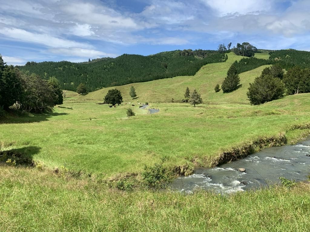 Horse/Cattle Breeding Stud, Home & Infrastructure