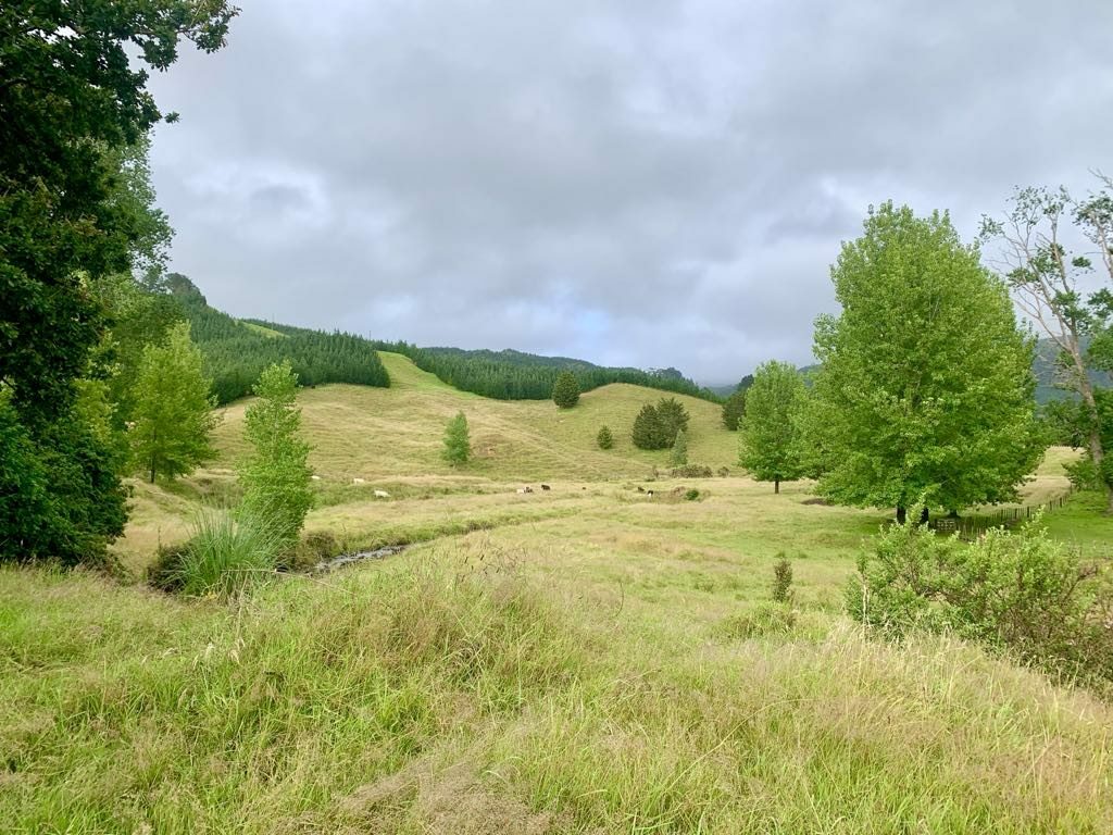 Horse/Cattle Breeding Stud, Home & Infrastructure