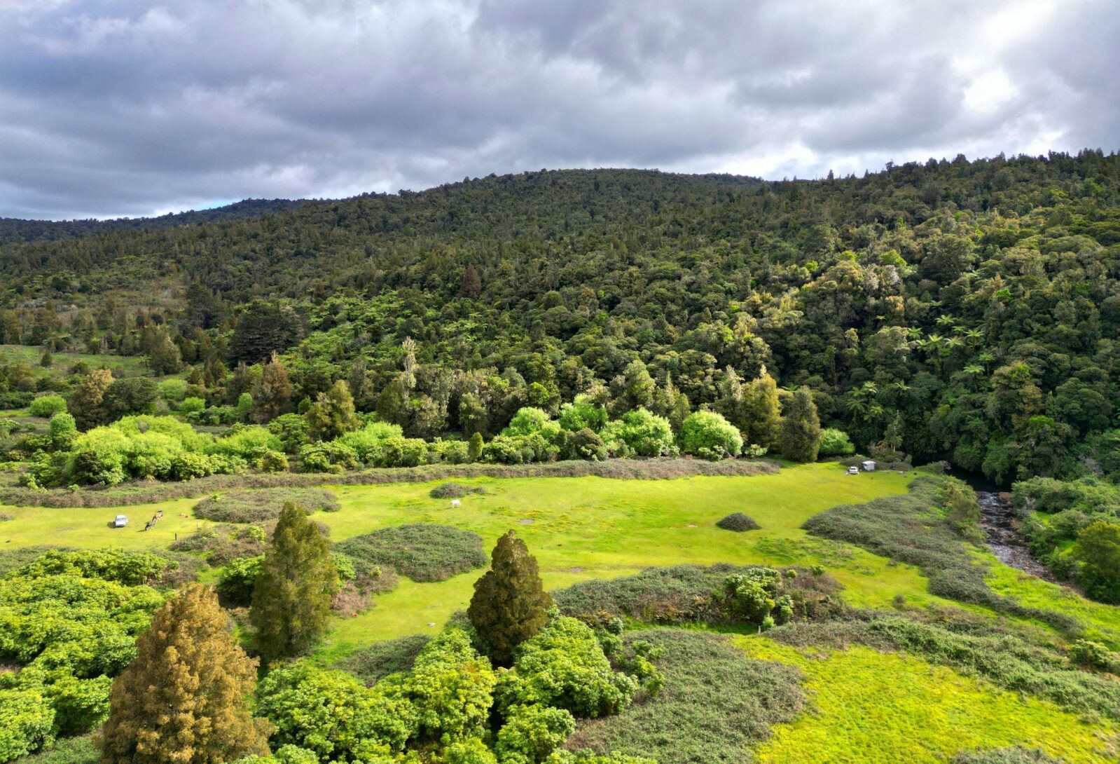 West Coast Rural Lifestyle Awaits!