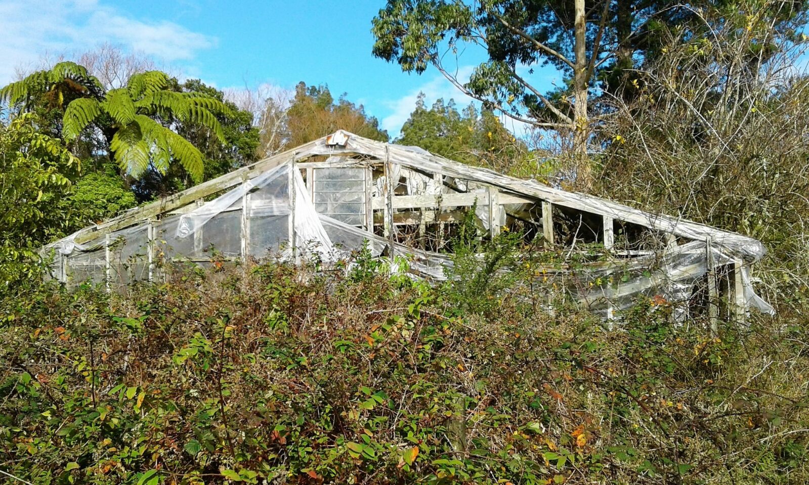 West Coast Rural Lifestyle Awaits!