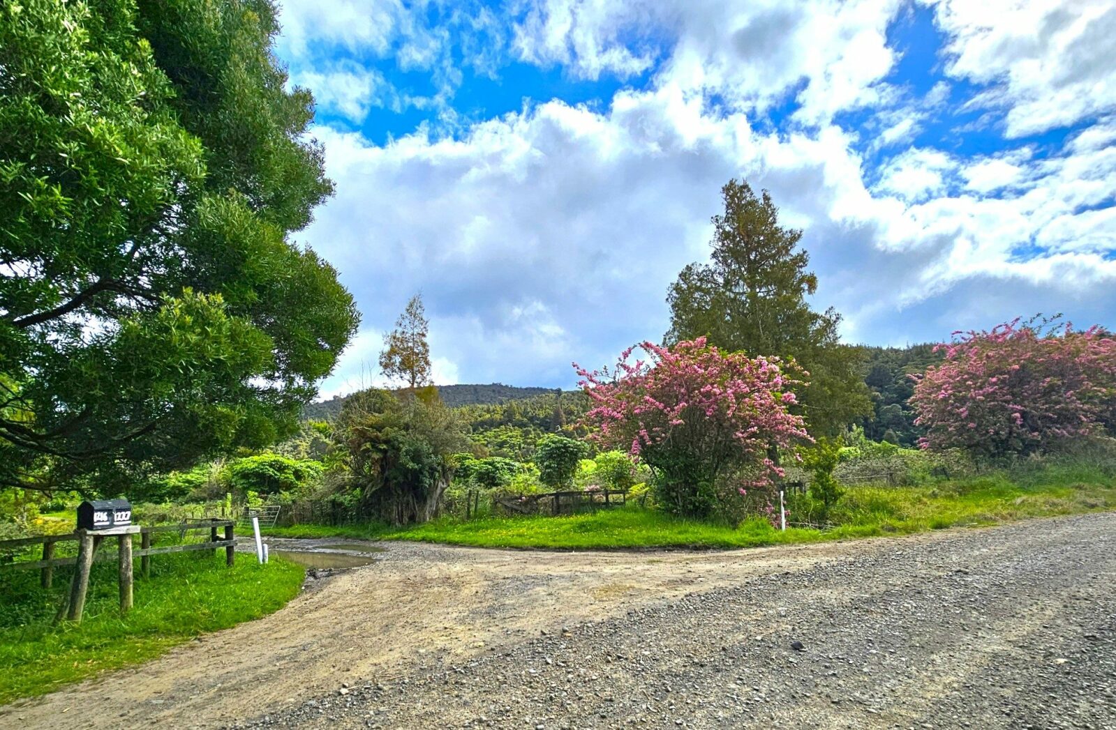West Coast Rural Lifestyle Awaits!