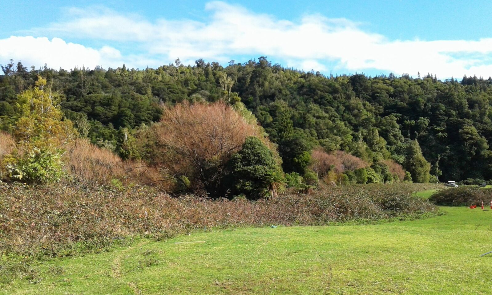 West Coast Rural Lifestyle Awaits!