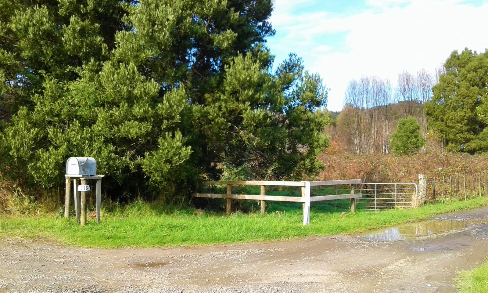 West Coast Rural Lifestyle Awaits!