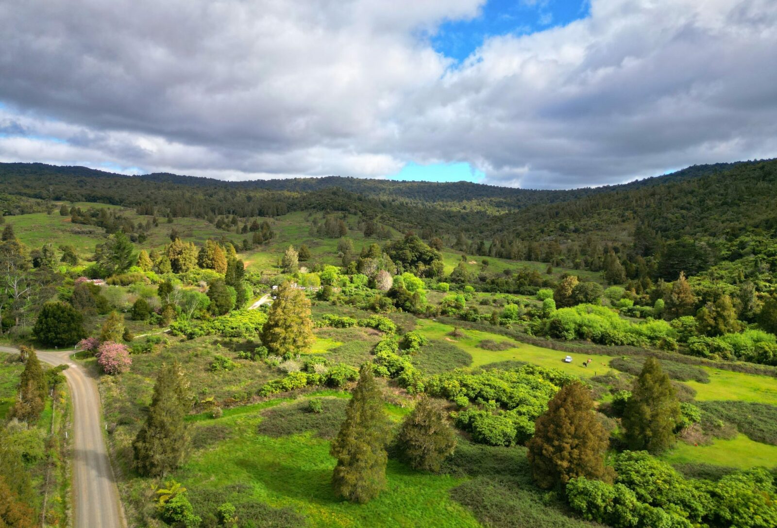 West Coast Rural Lifestyle Awaits!