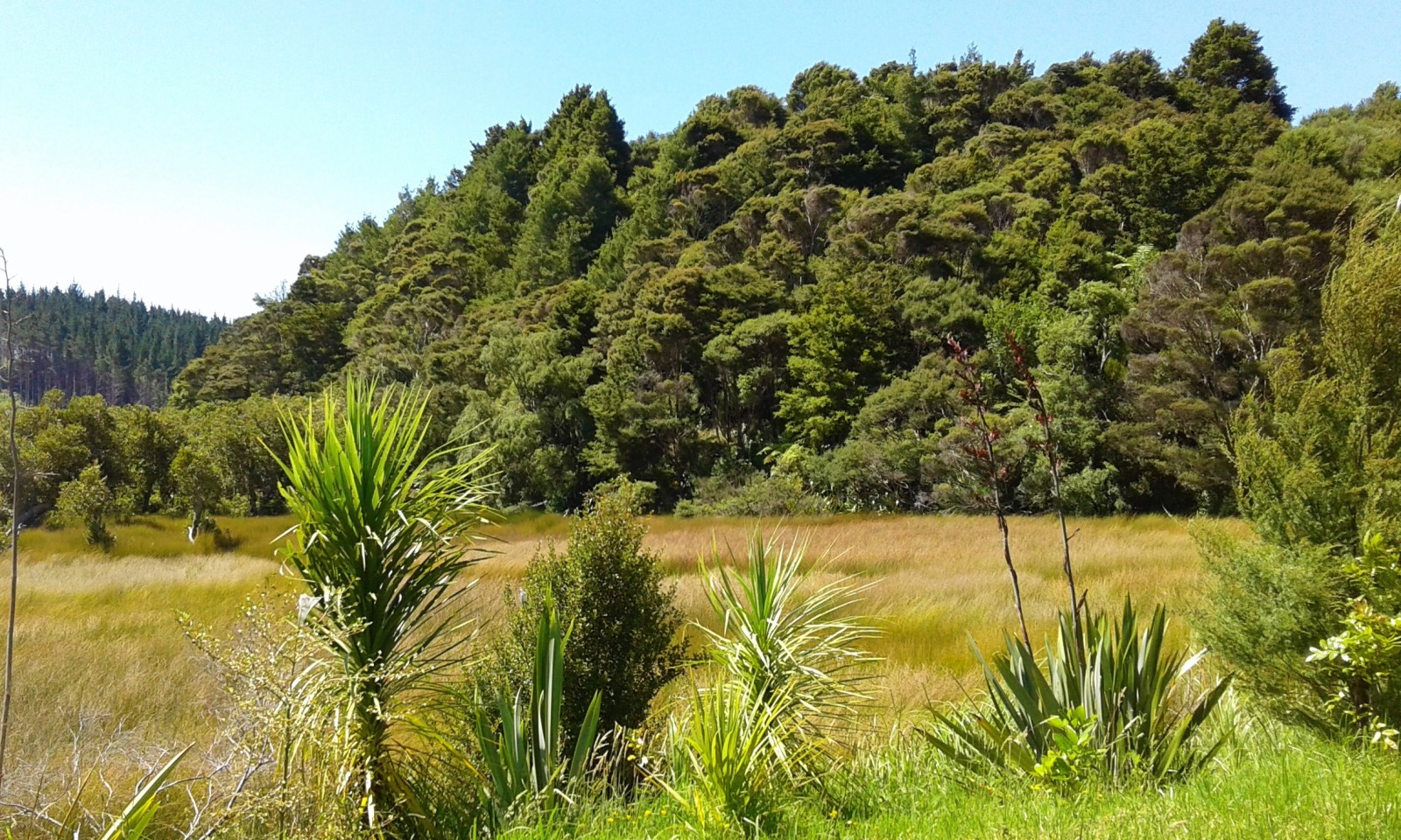 Easy River Access Near Rawene