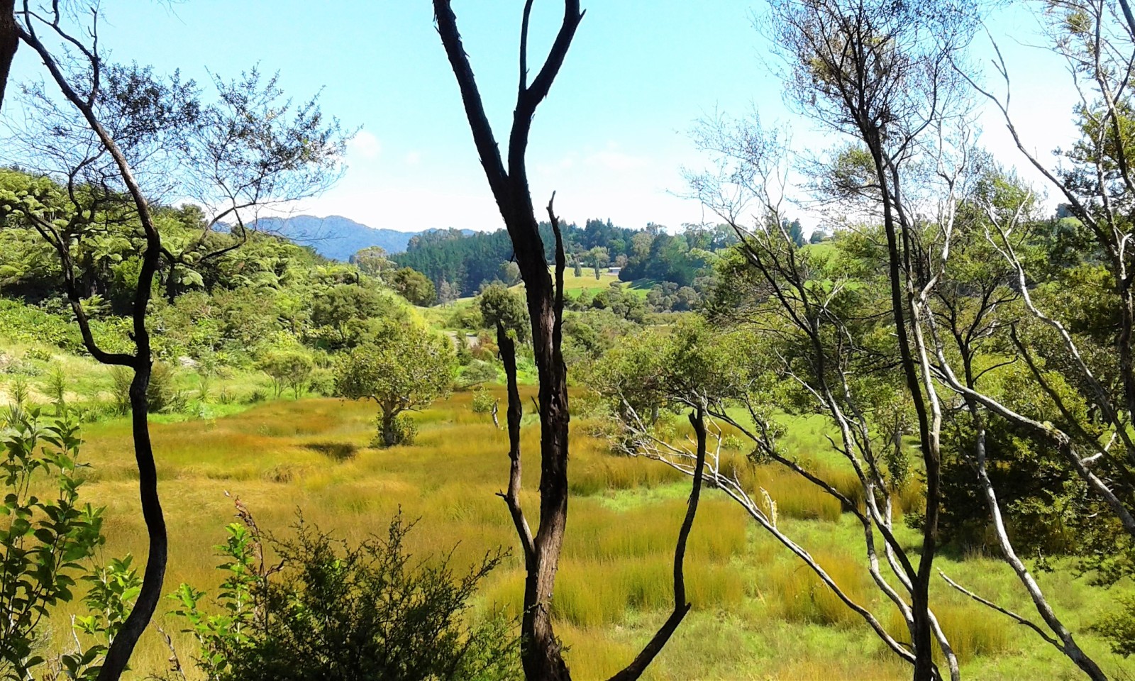 Easy River Access Near Rawene