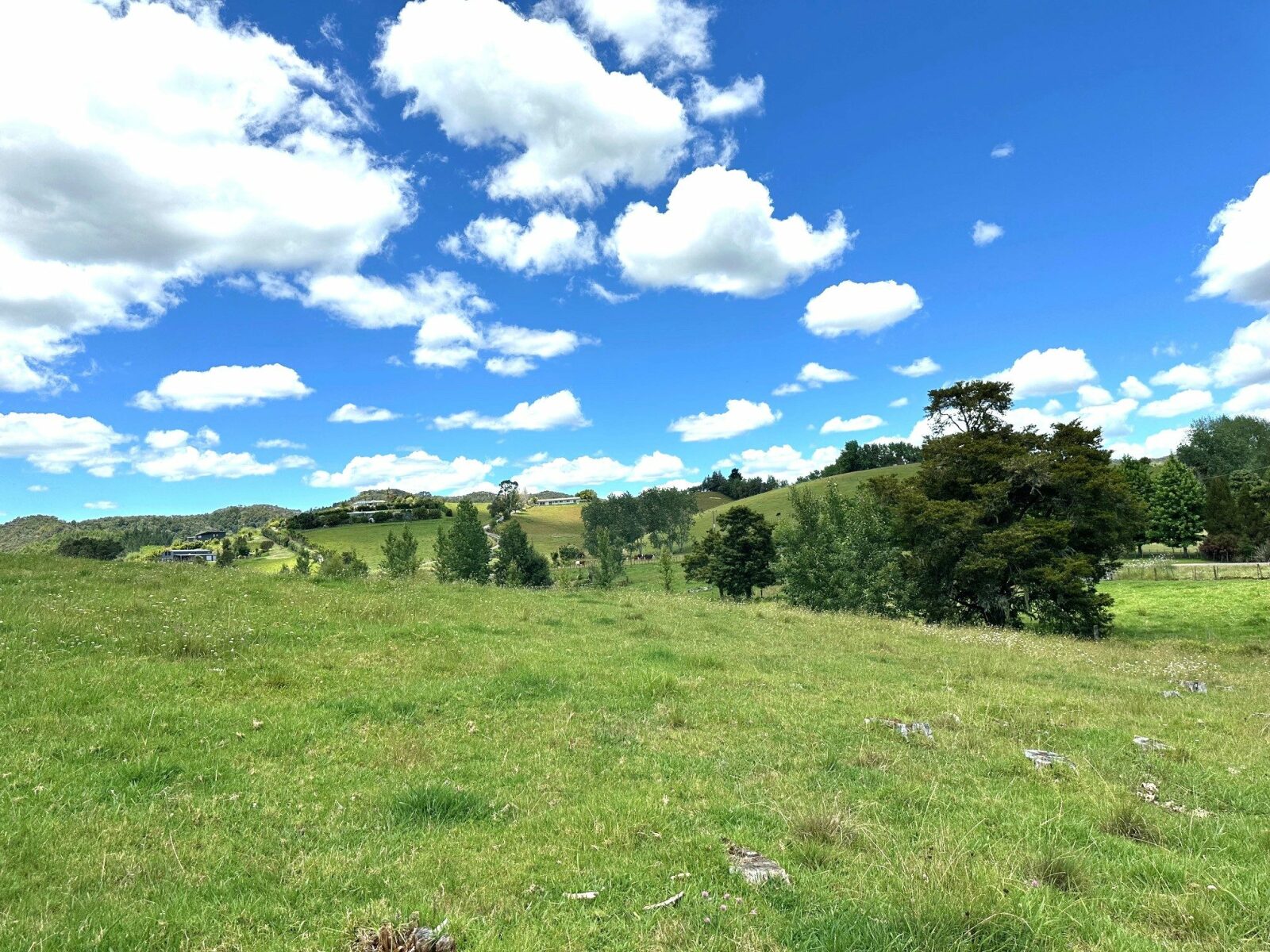 A Charming, Character filled 3.9 ha - (9.8 acres)