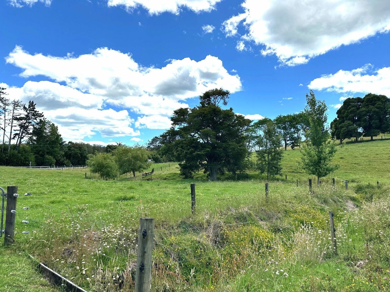 A Charming, Character filled 3.9 ha - (9.8 acres)