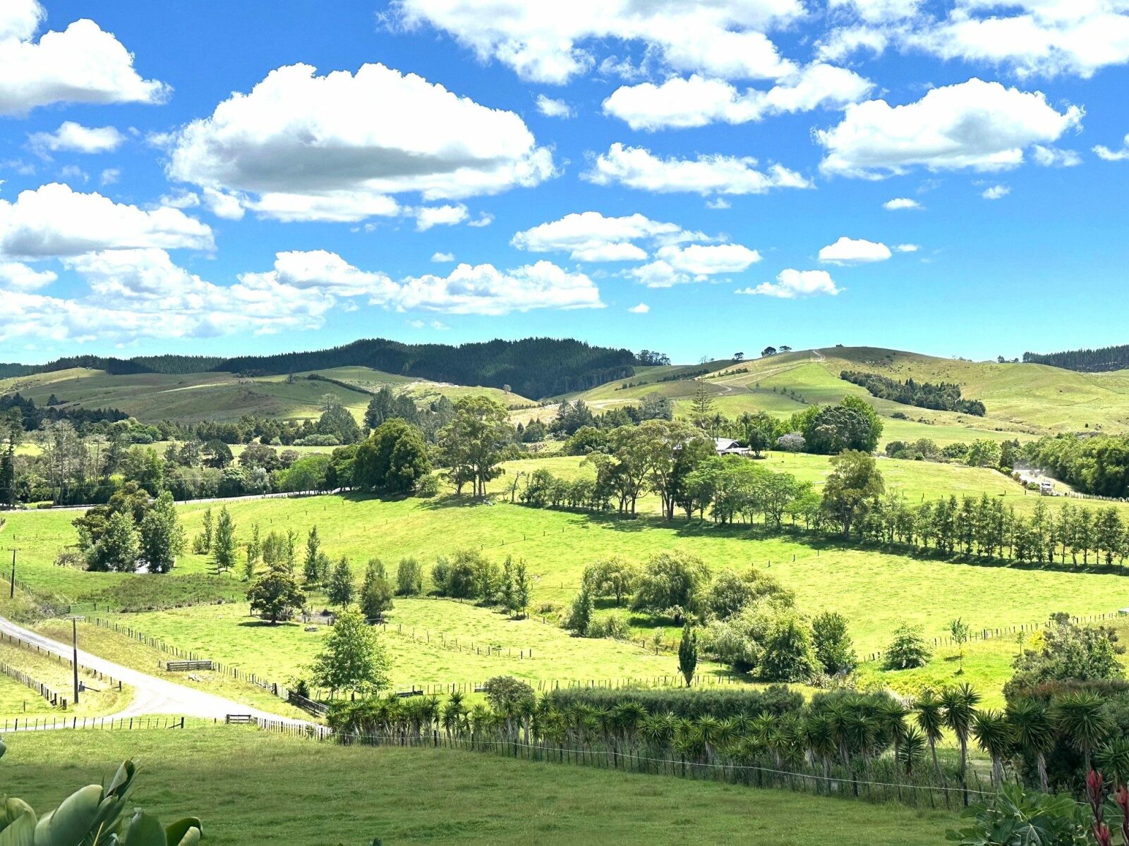 A Charming, Character filled 3.9 ha - (9.8 acres)