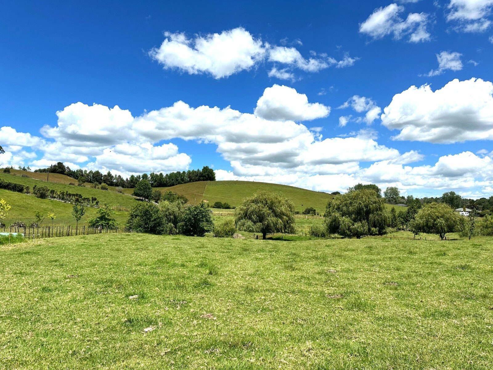 A Charming, Character filled 3.9 ha - (9.8 acres)