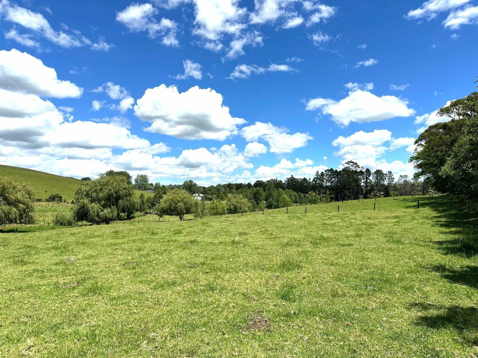 A Charming, Character filled 3.9 ha - (9.8 acres)