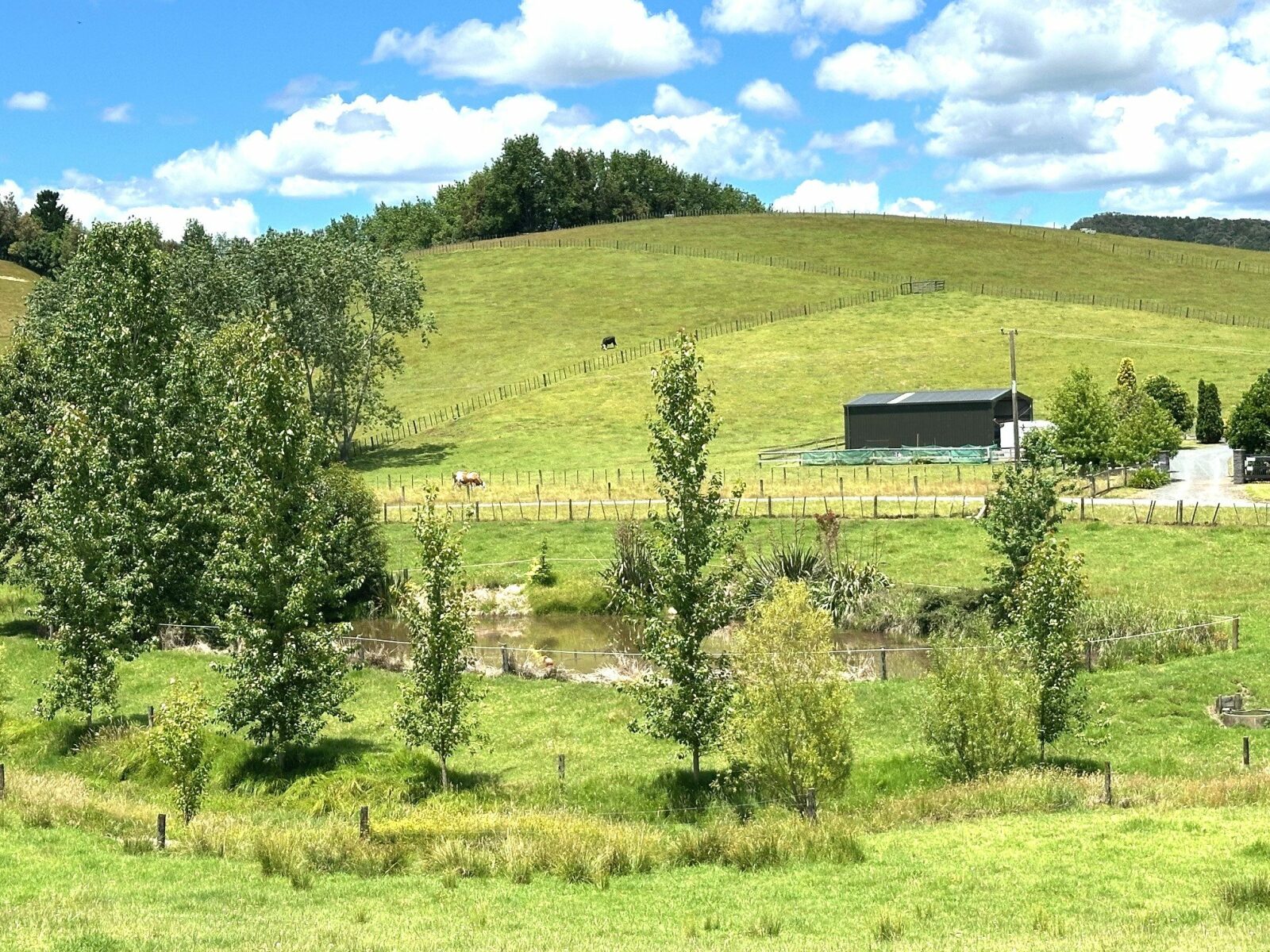 A Charming, Character filled 3.9 ha - (9.8 acres)