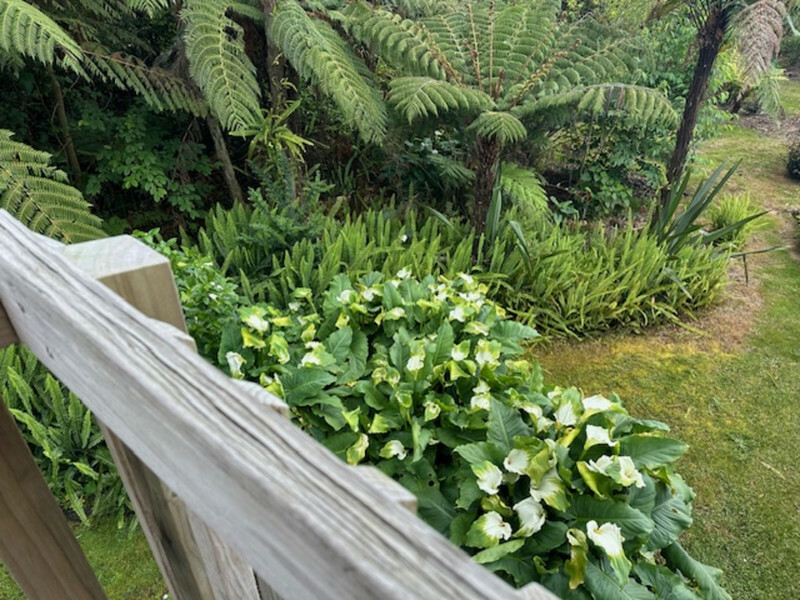 Private Haruru Haven – Space, Sun and Serenity