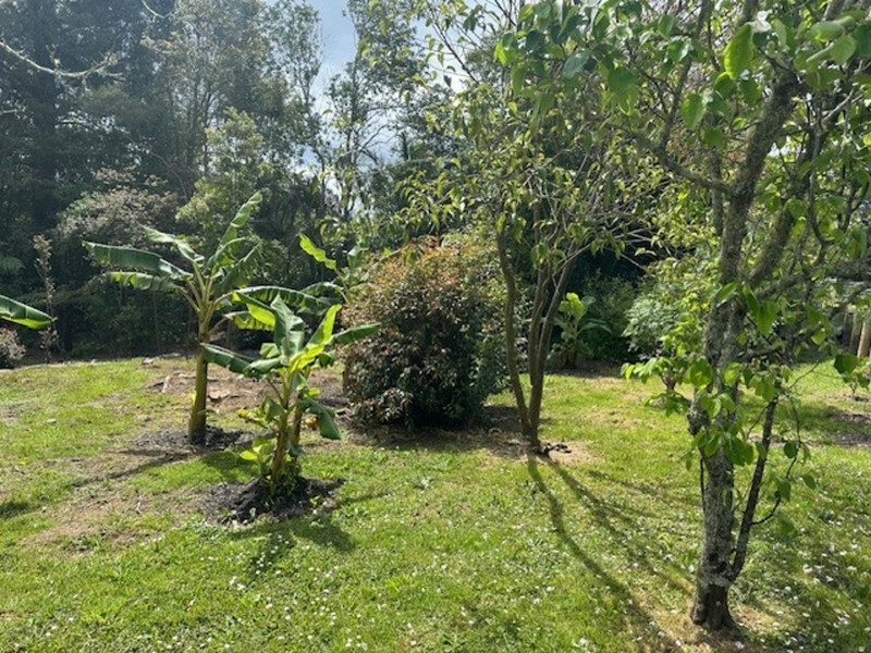 Private Haruru Haven – Space, Sun and Serenity