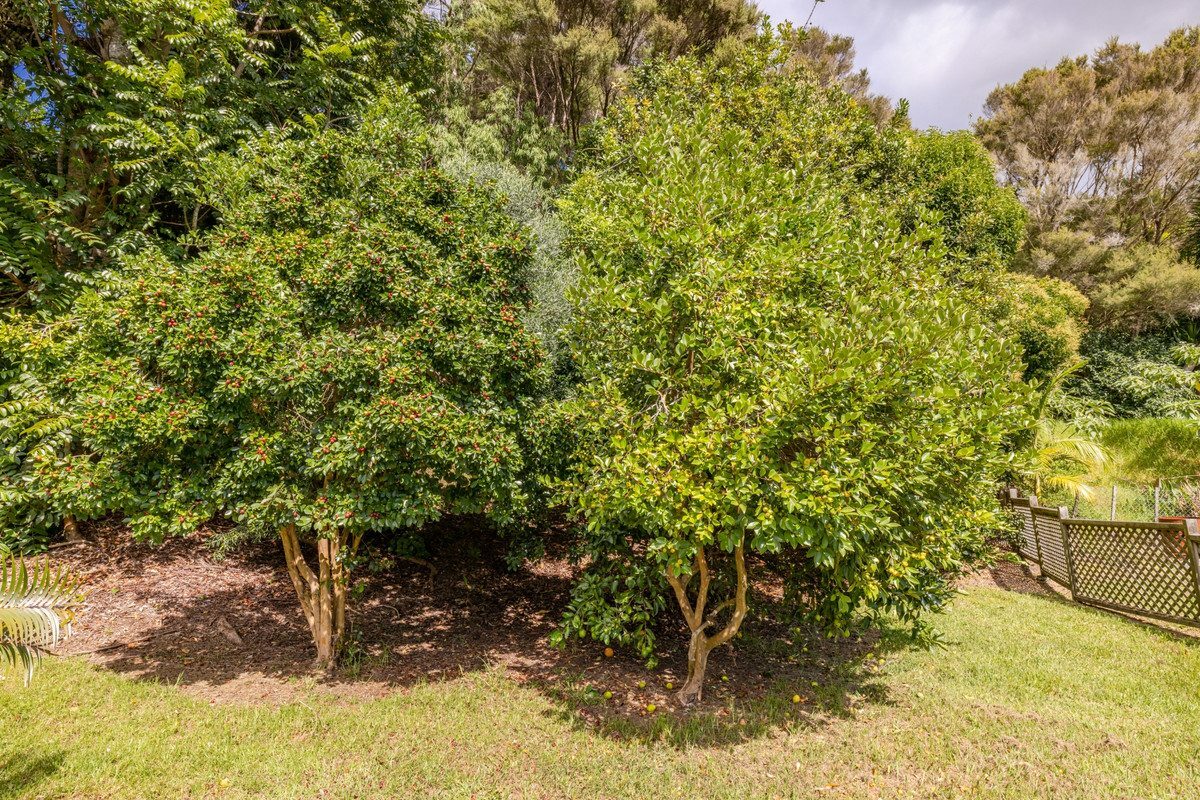 A Lifestyle Sanctuary Bathed in Sunlight