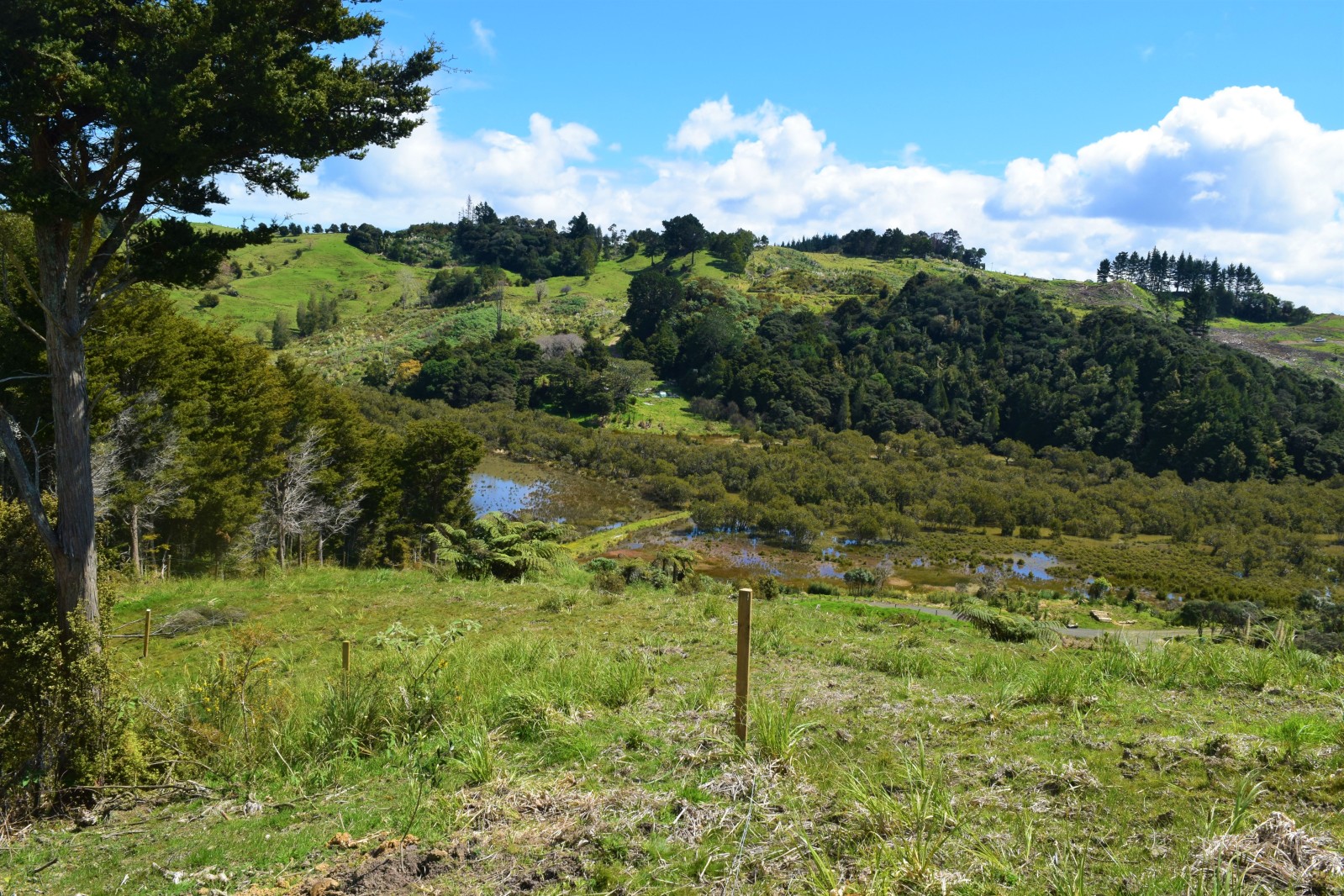 Easy River Access Near Rawene