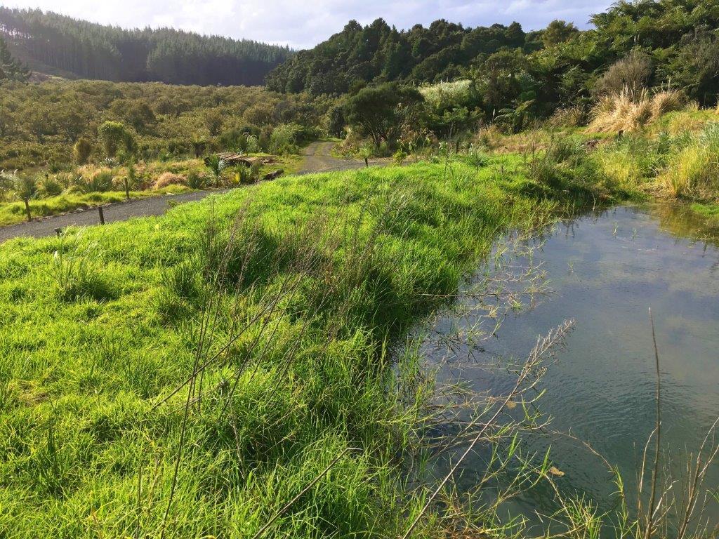 Easy River Access Near Rawene