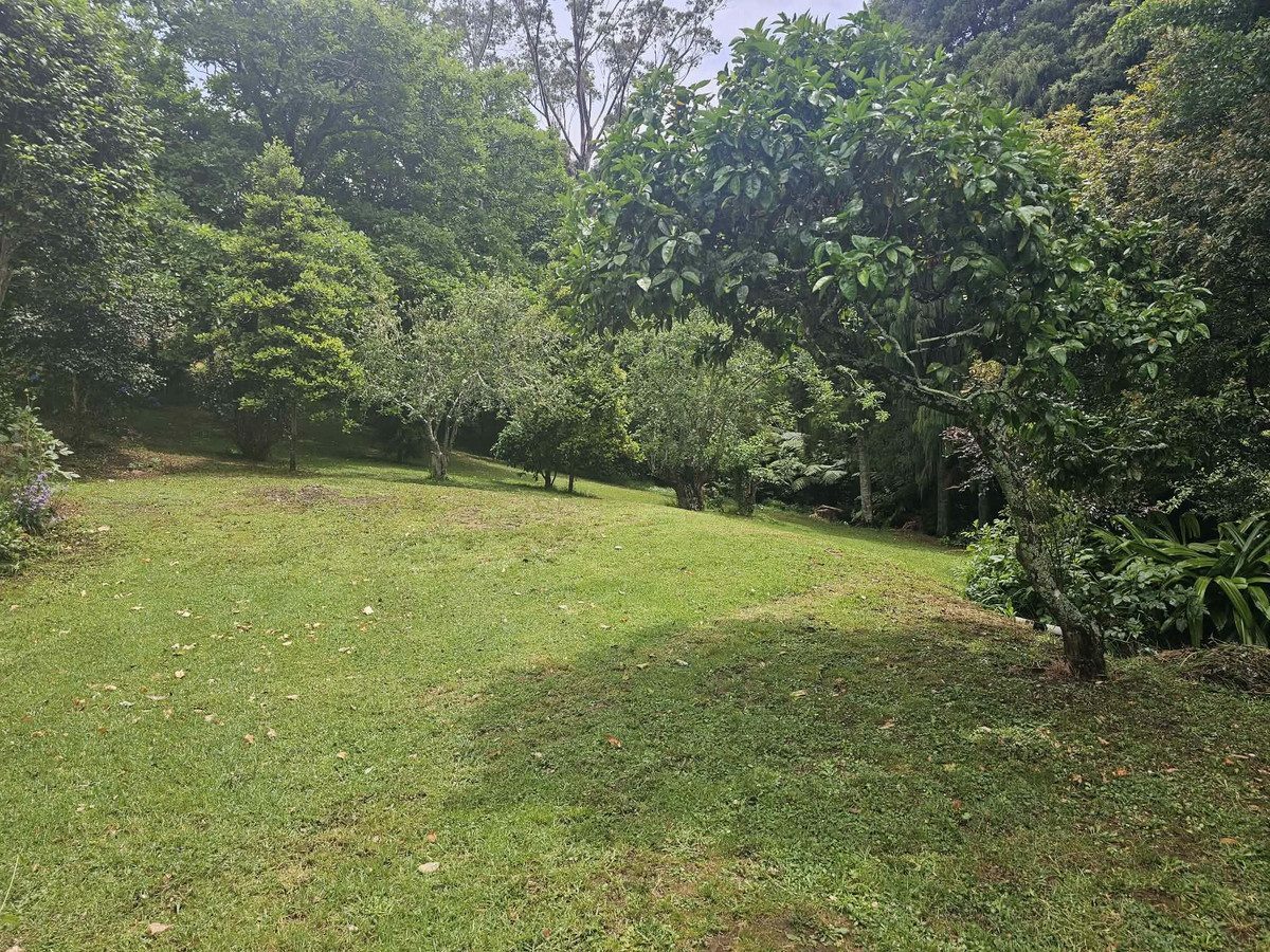 A New Chapter Begins, You Write The Rest!