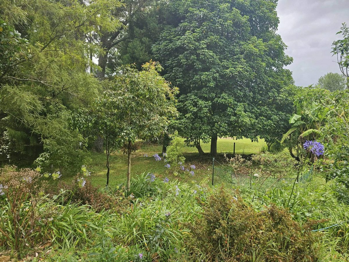 A New Chapter Begins, You Write The Rest!