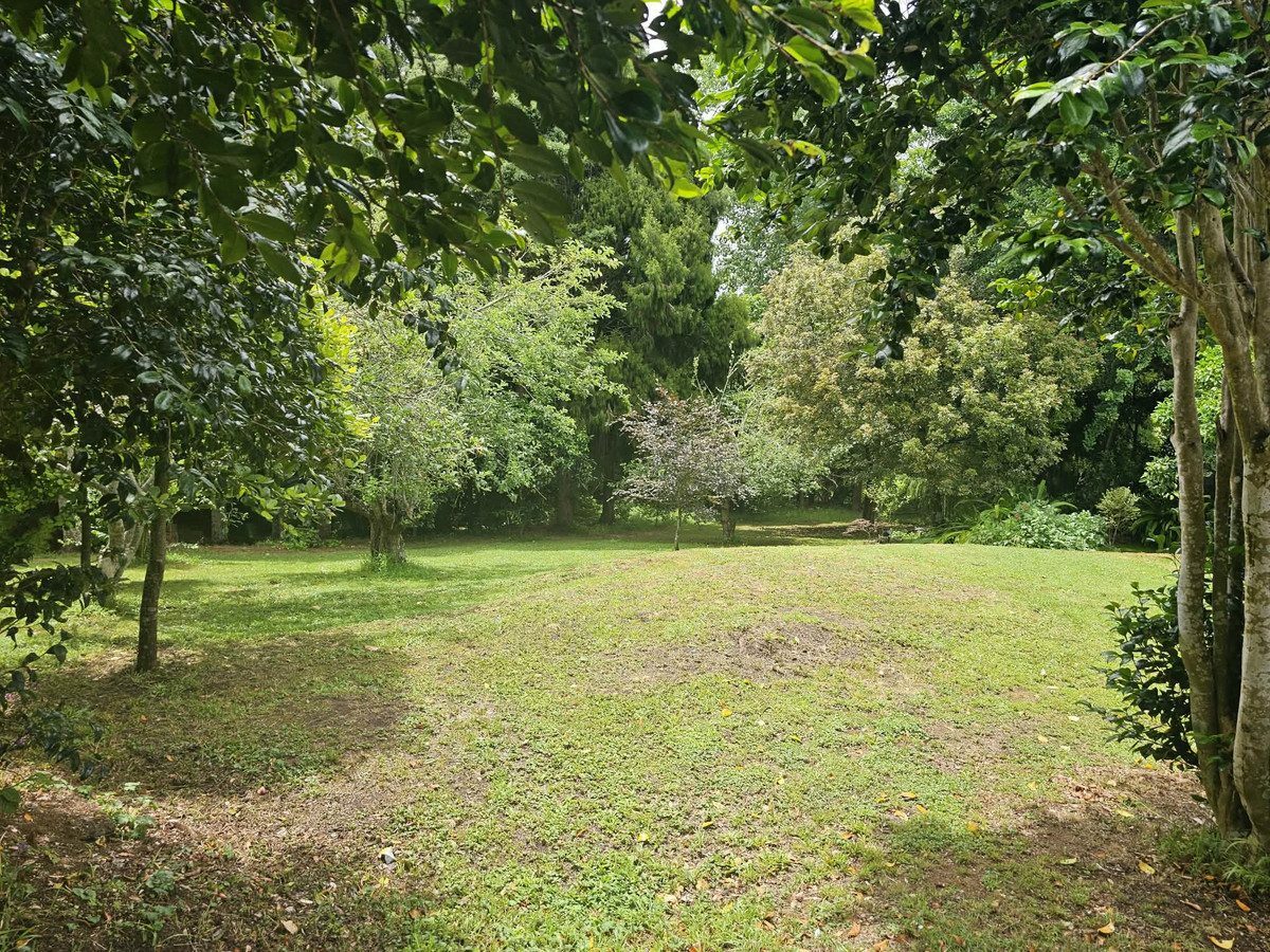 A New Chapter Begins, You Write The Rest!