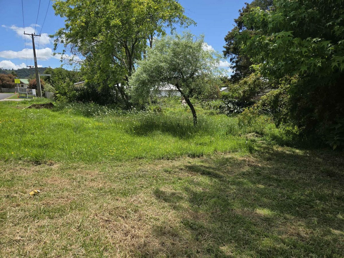 Solid Investment or First Home