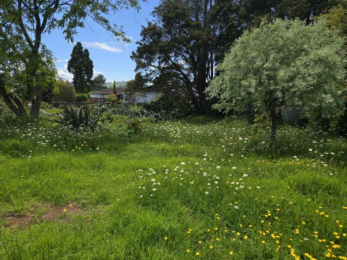 Solid Investment or First Home